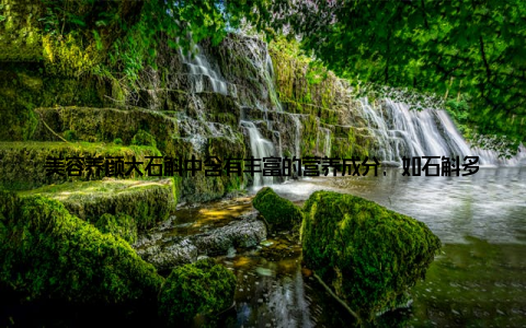 美容养颜大石斛中含有丰富的营养成分, 如石斛多糖、氨基酸等, 有助于改善肌肤状况, 让你由内而外散发美丽