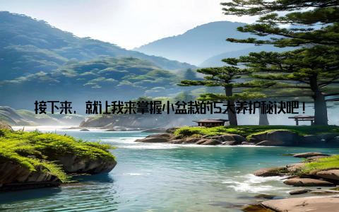 接下来, 就让我来掌握小盆栽的5大养护秘诀吧! 记得第一次接触小盆栽的时候, 我是个新手, 对养植一窍不通