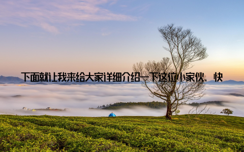 下面就让我来给大家详细介绍一下这位小家伙, 快来一睹芳容吧! 记得那天, 我在花卉市场闲逛, 无意间看到了这个八宝景天