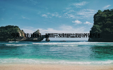 今天, 就让我们一起揭开发财树盆栽的养殖方法, 掌握养护攻略, 轻松养出绿意盎然的家居绿植, 让你的家充满招财气息! 一、发财树盆栽的养殖方法 选择合适的土壤发财树喜欢排水良好、透气性强的土壤