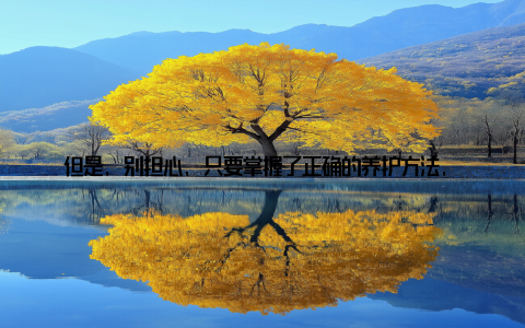 但是, 别担心, 只要掌握了正确的养护方法, 让你的绿植在北方冬季也能绿意盎然, 四季常青! 今天, 就让我带你一起北方冬季室内盆栽的养护秘籍, 让绿意盎然一整年! 第一站选择合适的室内盆栽 北方冬季室内盆栽, 得选对植物