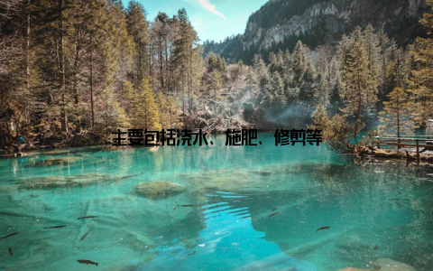 主要包括浇水、施肥、修剪等