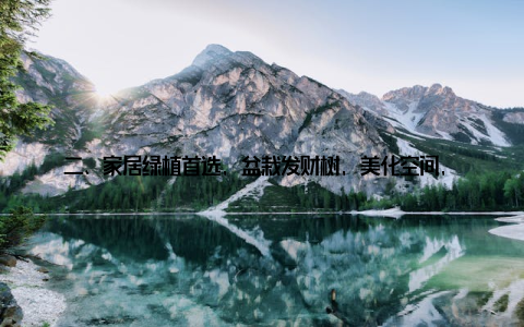 二、家居绿植首选, 盆栽发财树, 美化空间, 提升生活品质为什么盆栽发财树会成为家居绿植的首选呢? 原因有以下几点 美化空间盆栽发财树株型优美, 枝叶繁茂, 可以为家居环境增添一抹绿意, 让你的家变得更加温馨舒适