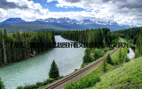 那么, 哪些大花盆栽既好看又吸睛呢? 本文将为您, 快来一起看看吧! 一、大花盆栽, 家居装饰新风尚近年来, 随着生活节奏的加快, 人们越来越注重生活品质的提升