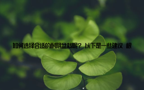 如何选择合适的耐阴盆栽呢? 以下是一些建议 根据空间大小选择小空间适合摆放小巧的盆栽, 如多肉植物大空间则可选择橡皮树、发财树等大型耐阴植物