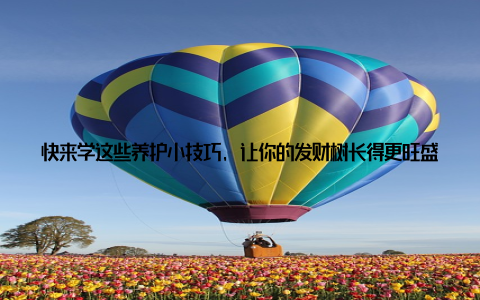 快来学这些养护小技巧, 让你的发财树长得更旺盛吧! 相信在不久的将来, 你的发财树一定能成为你家中的一道亮丽风景线, 让你的生活充满阳光和希望!