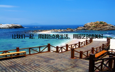 让我们一起, 用绿色点亮生活, 用园艺创造美好! 我是小杨, 一名盆栽舞者, 新型园艺人才, 我引领着绿色时尚潮流, 期待与你们共同见证这一场美丽的旅程