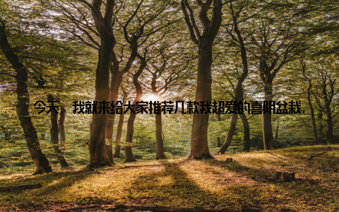 今天, 我就来给大家推荐几款我超爱的喜阴盆栽, 让我们一起打造一个温馨的绿色空间吧! 记得刚开始接触盆栽的时候, 我对那些娇贵的花草总是束手无策, 不是晒伤就是冻坏