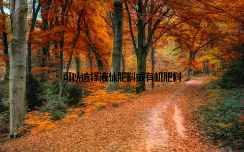 可以选择液体肥料或有机肥料