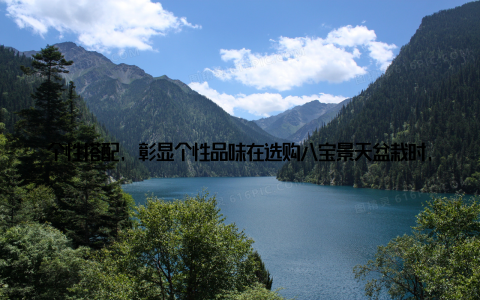 个性搭配, 彰显个性品味在选购八宝景天盆栽时, 可以根据个人喜好和家居风格, 选择不同颜色、不同株形的品种