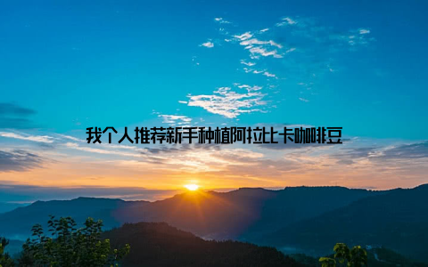 我个人推荐新手种植阿拉比卡咖啡豆