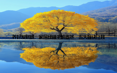 养好发财树, 家居绿植生机盎然, 五大秘诀让我家植物焕发新活力! 嘿, 大家好! 今天我要和大家分享一下我养发财树的心得