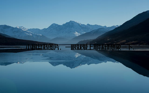 一、小树盆栽图片, 一眼就爱上那抹绿想象一下, 一盆生机勃勃的小树盆栽摆放在你的书桌旁, 清晨的阳光透过窗户洒落下来, 那片翠绿瞬间点亮了你的心情
