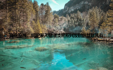 净化空气, 呵护家人健康淡果系列发财树盆栽具有很好的空气净化功能, 能有效吸收室内有害气体, 为家人创造一个清新舒适的生活环境