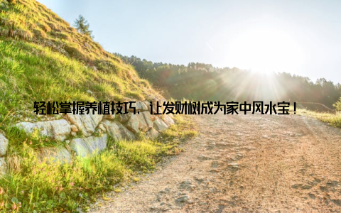 轻松掌握养植技巧, 让发财树成为家中风水宝! 快来学习吧! 发财树, 寓意吉祥、财运亨通, 是近年来备受喜爱的家居绿植