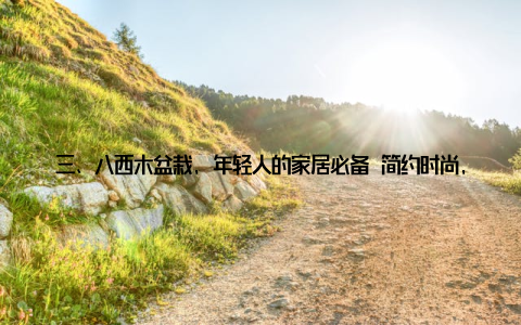 三、八西木盆栽, 年轻人的家居必备 简约时尚, 提升家居品味八西木盆栽造型简约, 线条流畅, 与现代家居风格相得益彰
