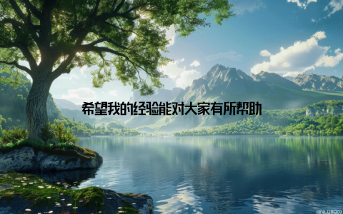 希望我的经验能对大家有所帮助