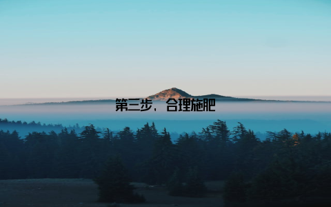 第三步, 合理施肥