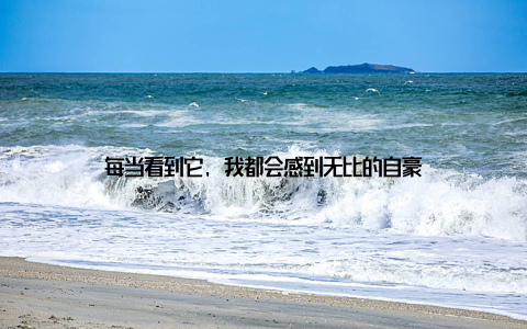 每当看到它, 我都会感到无比的自豪