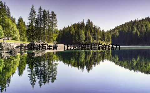 花叶万年青, 让我感受到生命的活力