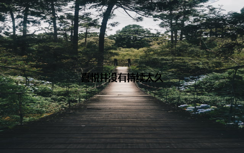 喜悦并没有持续太久