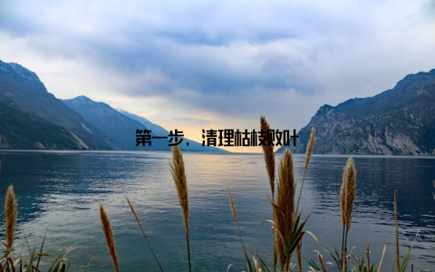 第一步, 清理枯枝败叶