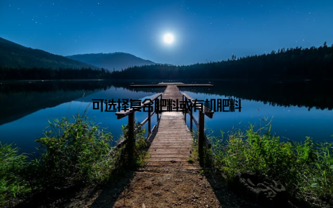 可选择复合肥料或有机肥料