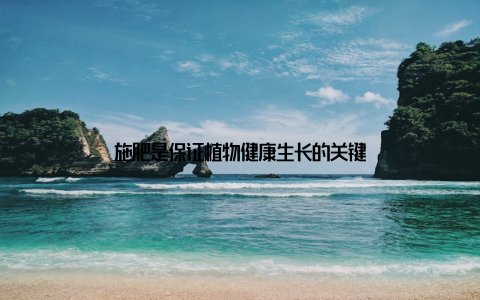 施肥是保证植物健康生长的关键