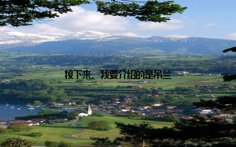 接下来, 我要介绍的是吊兰