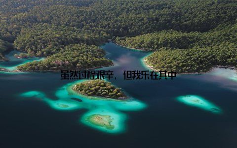 虽然过程艰辛, 但我乐在其中