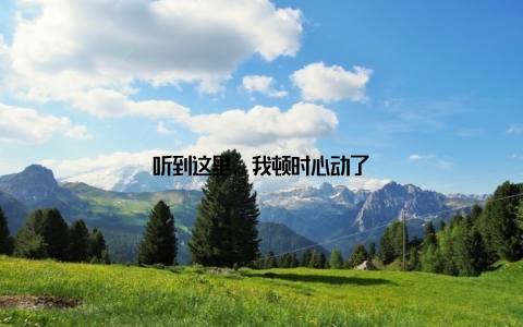 听到这里, 我顿时心动了