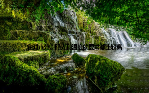 它对水分、阳光和温度的要求都比较高