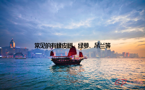 常见的有橡皮树、绿萝、吊兰等