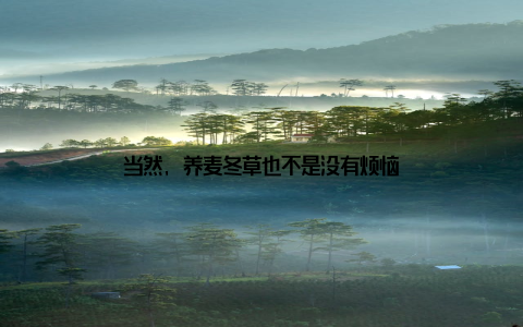 当然, 养麦冬草也不是没有烦恼
