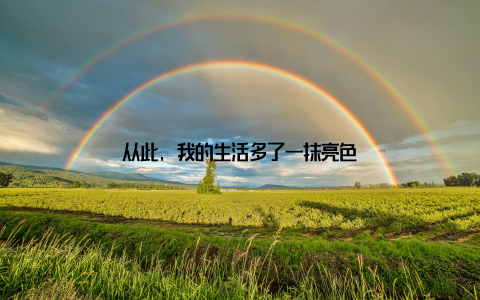 从此, 我的生活多了一抹亮色