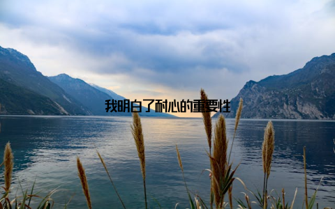 我明白了耐心的重要性