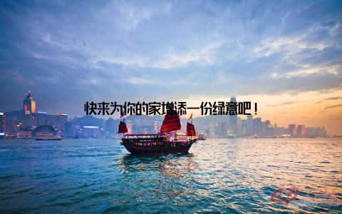 快来为你的家增添一份绿意吧!