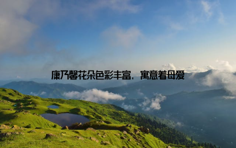 康乃馨花朵色彩丰富, 寓意着母爱