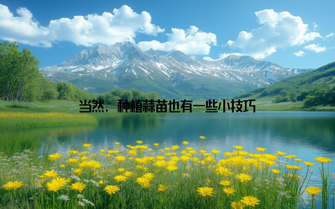当然, 种植蒜苗也有一些小技巧