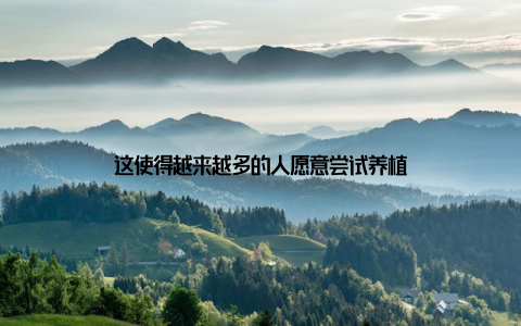 这使得越来越多的人愿意尝试养植