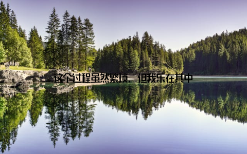这个过程虽然繁琐, 但我乐在其中