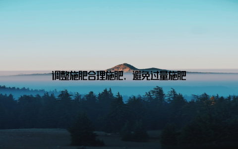 调整施肥合理施肥, 避免过量施肥