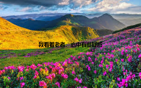 我看着老者, 心中有些疑惑