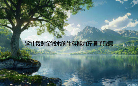 这让我对金钱木的生存能力充满了敬意
