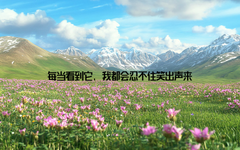 每当看到它, 我都会忍不住笑出声来