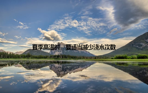 夏季高温时, 要适当减少浇水次数