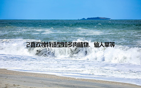 2喜欢独特造型如多肉植物、仙人掌等