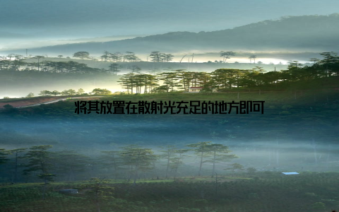 将其放置在散射光充足的地方即可