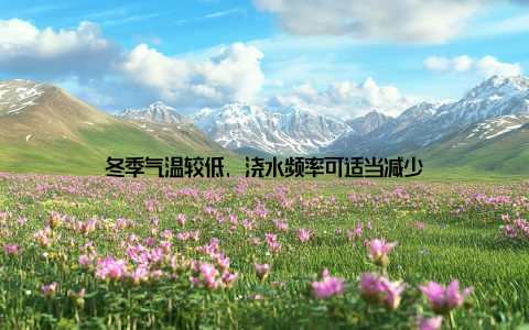 冬季气温较低, 浇水频率可适当减少