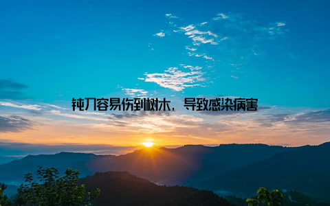 钝刀容易伤到树木, 导致感染病害